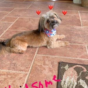 Meet your Posher, Denise